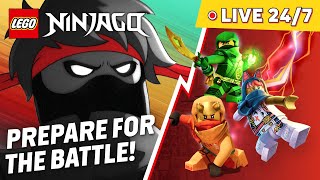 🍿 24/7 LEGO NINJAGO Dragons Rising Livestream | Season 1 - 3 & Monstrosity Series