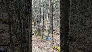 Watch Tower Potential