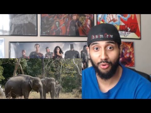 Elephant kills woman