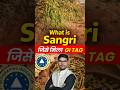 Sangri को GI Tag क्यों मिला? 🌿 | What is Sangri?