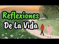 Las mejores reflexiones de la vida  gratitud frases reflexiones versos reflexin