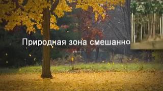 Природные зоны умеренного климата.Смешанный лес Природные зоны умеренного климата.Смешанный лес