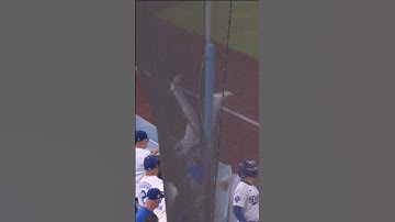 ALEX VERDUGO INSANE PLAY TO GET SHOHEI OHTANI OUT IN GAME 1!