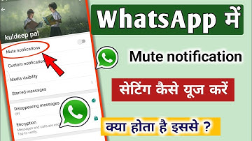 How to use Mute notification setting in WhatsApp || @TechnicalShivamPal