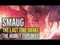 Smaug (THE LAST FIRE DRAKE) The Hobbit Explored