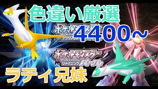 【ポケモンBDSP】ラティ兄妹色違い厳選、ラティオス編 4400回～