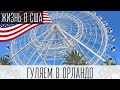 Музей, океанариум и Disney Springs в Орландо, Флорида | Жизнь в США