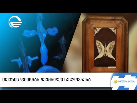 გამხმარი მცენარეებით, ობობის ქსელითა და თევზის ფხით შექმნილი ხელოვნება