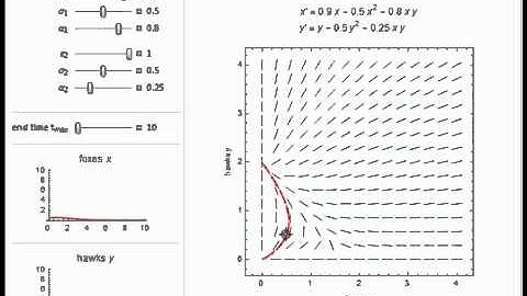Competing Species Model with Two Species