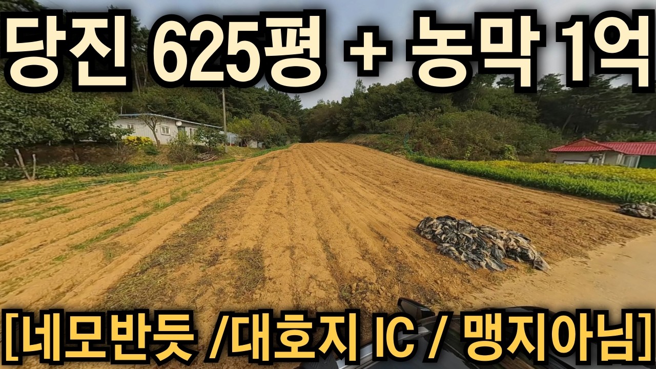 당진 625평 농막까지 있는 1억 토지 집 일반매물 고속도로ic호재 네모반듯 맹지아닌 토지매물 #급매#재테크#경매#강의#토지#매물#땅