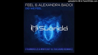 Feel & Alexandra Badoi - Did We Feel (Frainbreeze & Whiteout Ultrasound Remake)