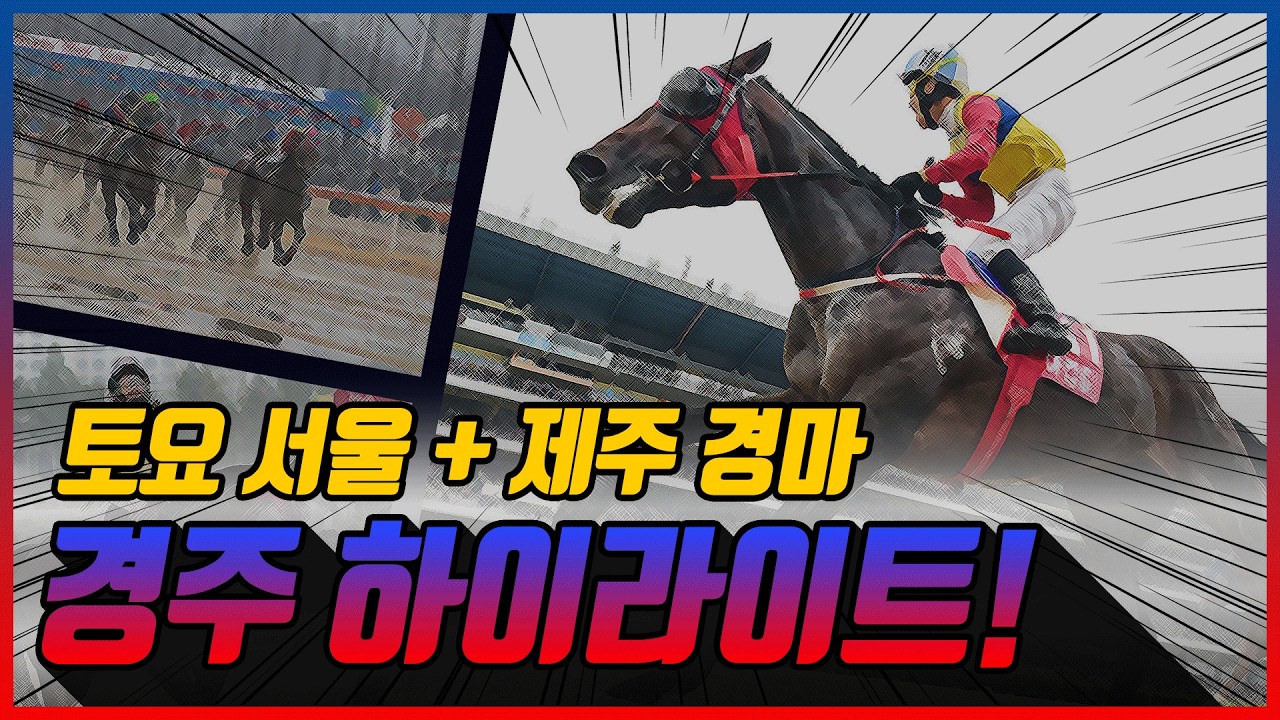 [토요 경마] 2026년 9월 5일 토요 경주 하이라이트 #경마 #한국마사회 #하이라이트