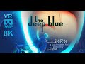 The Deep Blue VR 360º 8K