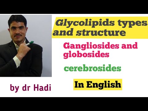 Glycolipids structure and types Lecture#9 in English by Dr Hadi