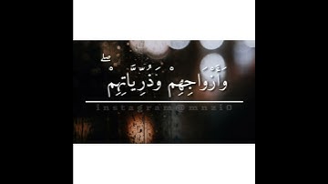 القارئ #احمد_النفيس | سورة الرعد 23