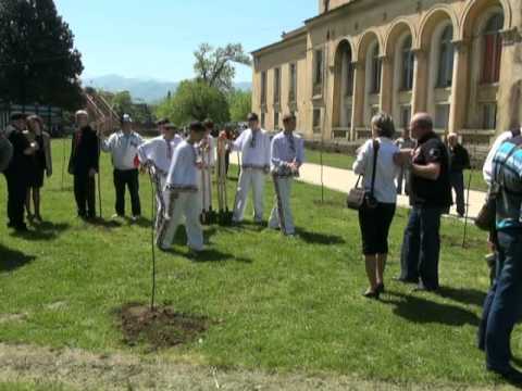 ხეების დარგვა სტუმრებთან ერთად