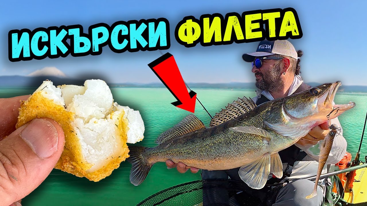 яз.Искър 2025: Риболов на костур, Бяла Риба, Сом и...ВКУСЕН ФИНАЛ