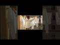 【ムクムクTV】 昼下がりの人妻 #shorts #60代 #50代
