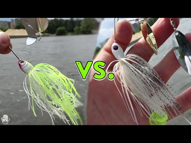 Buzzbait vs. Spinnerbait  When To Use Each Classic Bass Fishing