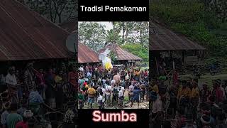 Tradisi Pemakaman Adat Sumba #goprohero11 #simplelifesumba #sumba #gopro #shorts #short #shortvideo