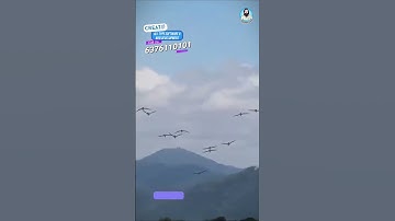 Birds Fly in V Shape | Why Birds Fly in V Shape? l Physics Concept