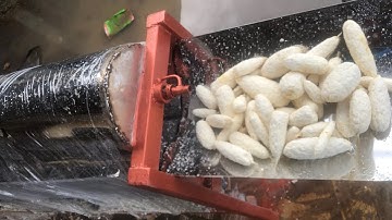 Cassava peeling and washing machine #cassavaprocessing