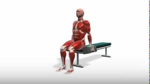 Exercise Videos- PowerBlock Seated Curls