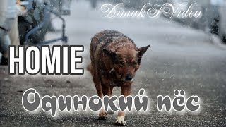 HOMIE - Одинокий пёс (DimakSVideo)