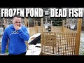 The pond will freeze, the fish will die - The king of DIY