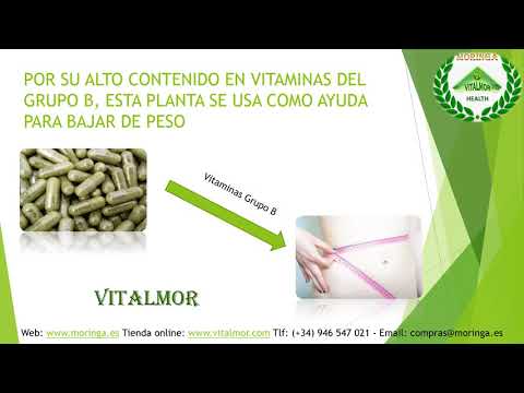 Cuantas semillas de moringa para adelgazar Cuantas semillas de moringa para adelgazar