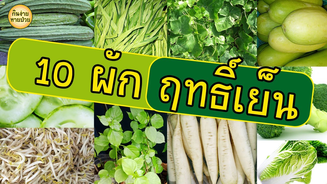 ผักที่มีฤทธิ์เย็น 2022 10 ผักฤทธิ์เย็น มีอะไรบ้าง กินแล้วชุ่มคอ แก้ร้อนใน แก้ท้องผูก แคลอรี่ต่ำ ช่วยลดน้ำหนัก #ผักฤทธิ์เย็น