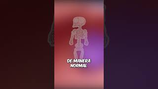 ¿Sabías que...? 🤔 ACONDROPLASIA en Segundos ⏳#acondroplasia #Enanismo  #sabiasque #shorts