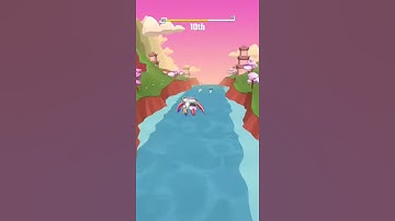 Flippy Race- 1st Place