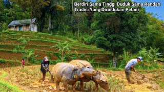 Download Lagu DI SINI HIDUP TERASA NIKMAT😍SEAKAN TIDAK ADA PERSAINGAN HIDUP DI TENGAH ALAM INDAH PASUNDAN.  MP3