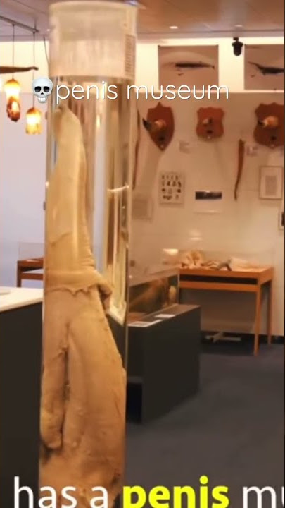 The Penis Museum 😃#short #shorts #meme