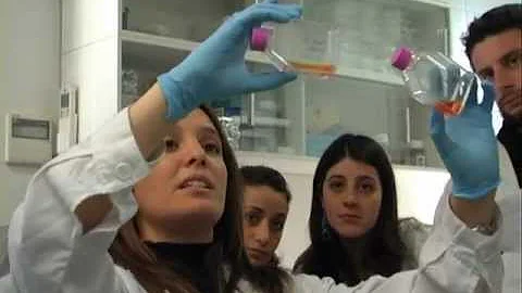 Cosa sono le cellule staminali neurali?