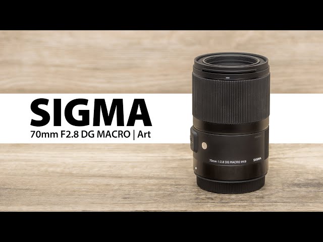 When I tried out the razor macro 