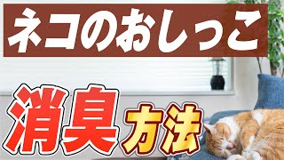 【悩み解決】ネコのおしっこ臭やマーキング臭に効果絶大な消臭方法