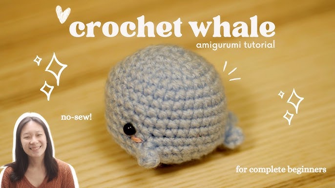 RQWZBCHX Beginners Crochet Kit, 4 Pattern Animals - Pig, Frog, Whale,  Octopus Crochet Set for Starters Adult Kids with Step-by-Step Video  Tutorials