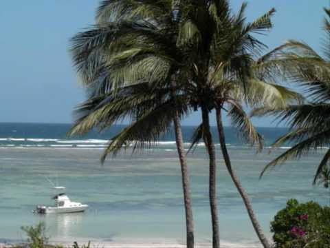 Urlaub Kenia Ferienhaus Kenia Strand Und Safari In Kenia Tauchen Youtube