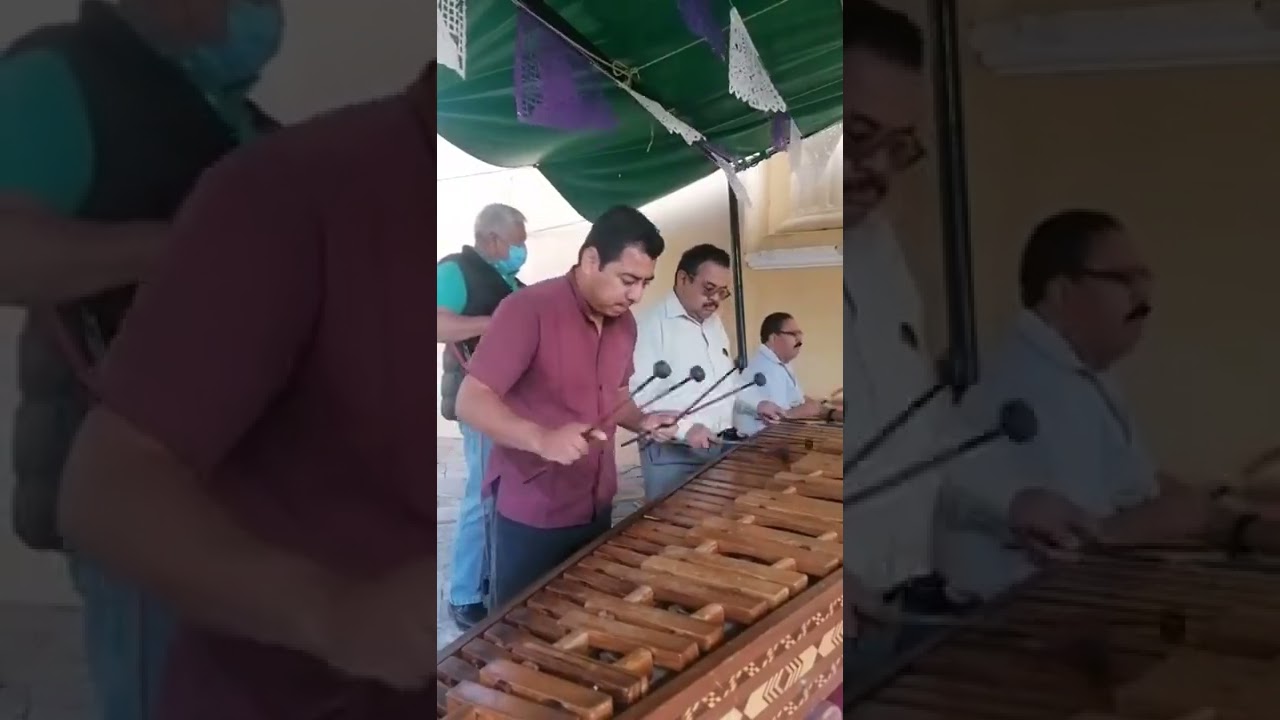 Amargura-Desesperadamente. Gonzalo Curiel.