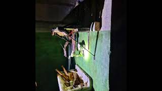 Underground Tunnels - Area Tezno Maribor Slovenia