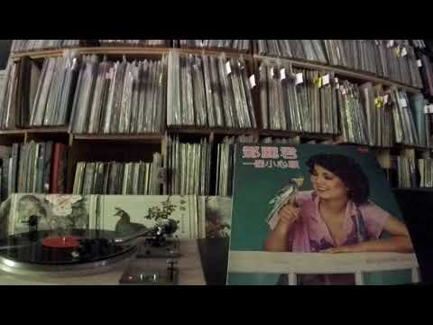 鄧麗君Teresa Teng -- b2 微風細雨