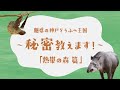 「熱帯の森篇」魅惑の神戸どうぶつ王国~秘密教えます!~【クラウドファンディング】