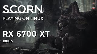 Scorn | 1800p | Nobara Project | RX 6700 XT + Ryzen 7 5800x | Linux Gaming