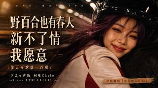 经典老歌：《野百合也有春天》 《新不了情》 《我愿意》你最喜欢哪一首呢？柯唯Chole(Cover 罗大佑 万芳 王菲)空灵女声版 深情翻唱【动态歌词lyrics】#经典老歌