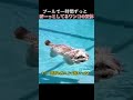プールで一時間ずっと - ぼーっとしてるワンコの正体