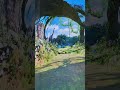 Amazing experience from indoor  video