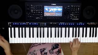 花心 #周華健 #YAMAHA sx900 #電子琴演奏