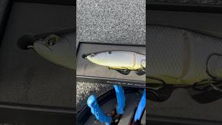 What NO ONE Tells You About Fishing A Glide bait